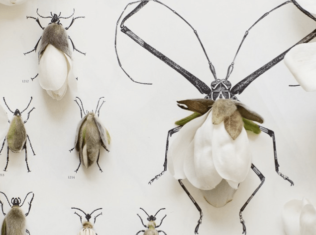 Screen shot 2013-02-21 at 7.34.22 PM