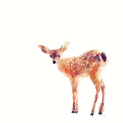 society 6 fawn