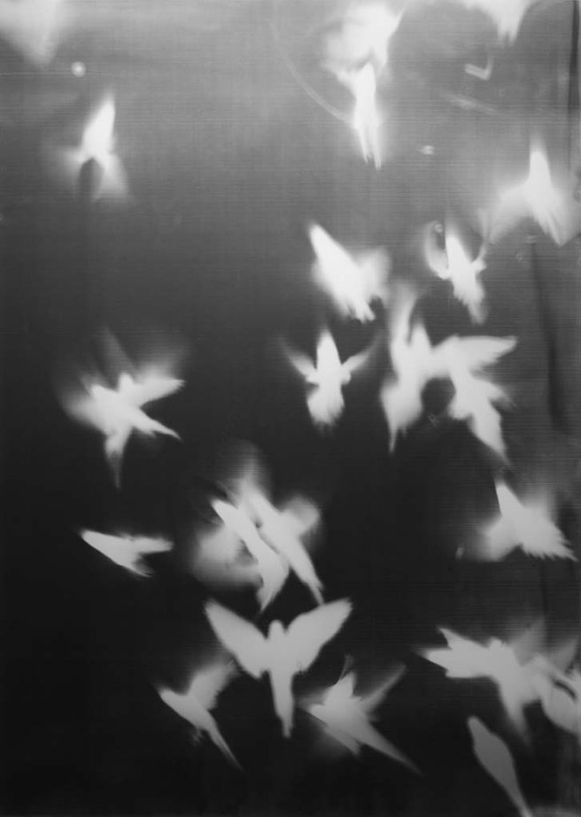 med_fuss_af-0462-jpg