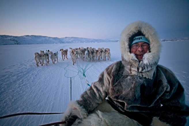 Happy dog sled driver greenland