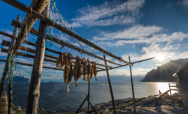 Photo by Karsten Bidstrup