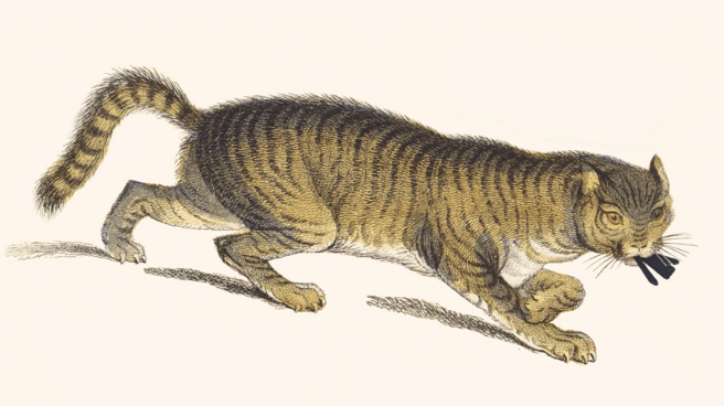 Screen Shot 2015-02-19 at 5.55.20 PM