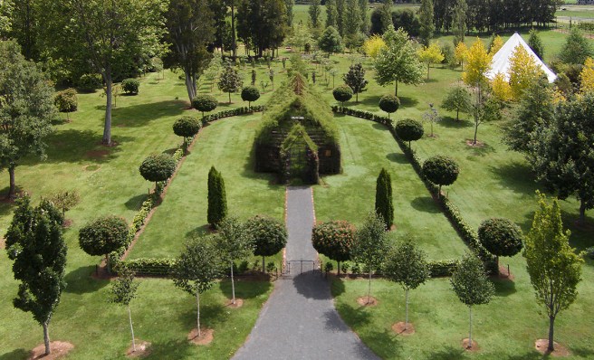 Tree-Church_web_front_full-colour