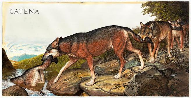 Walton_Ford_Wolf_Parade