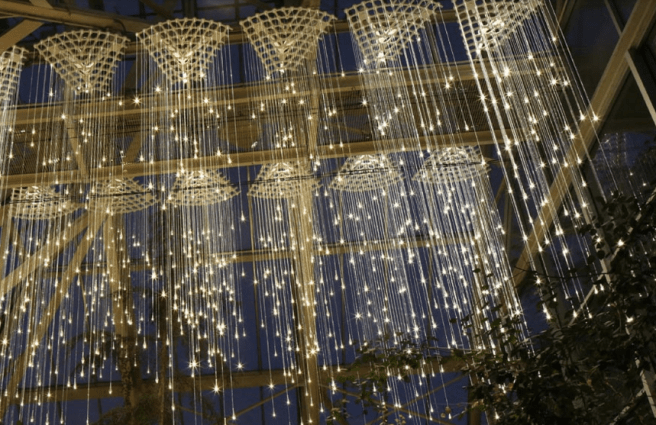 Screen Shot 2015-12-29 at 7.21.42 PM.png