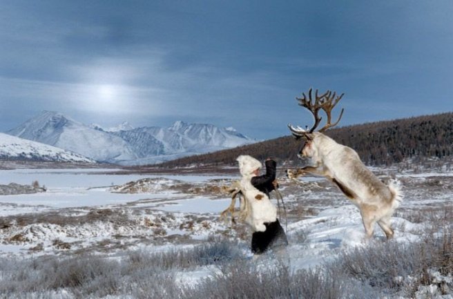 05-mongolian-reindeer