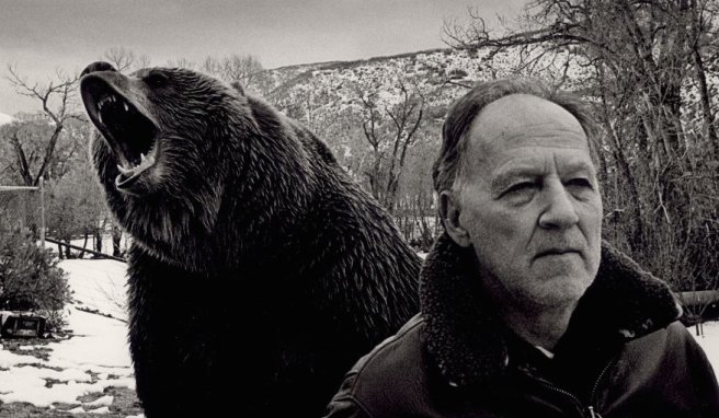 werner herzog bear